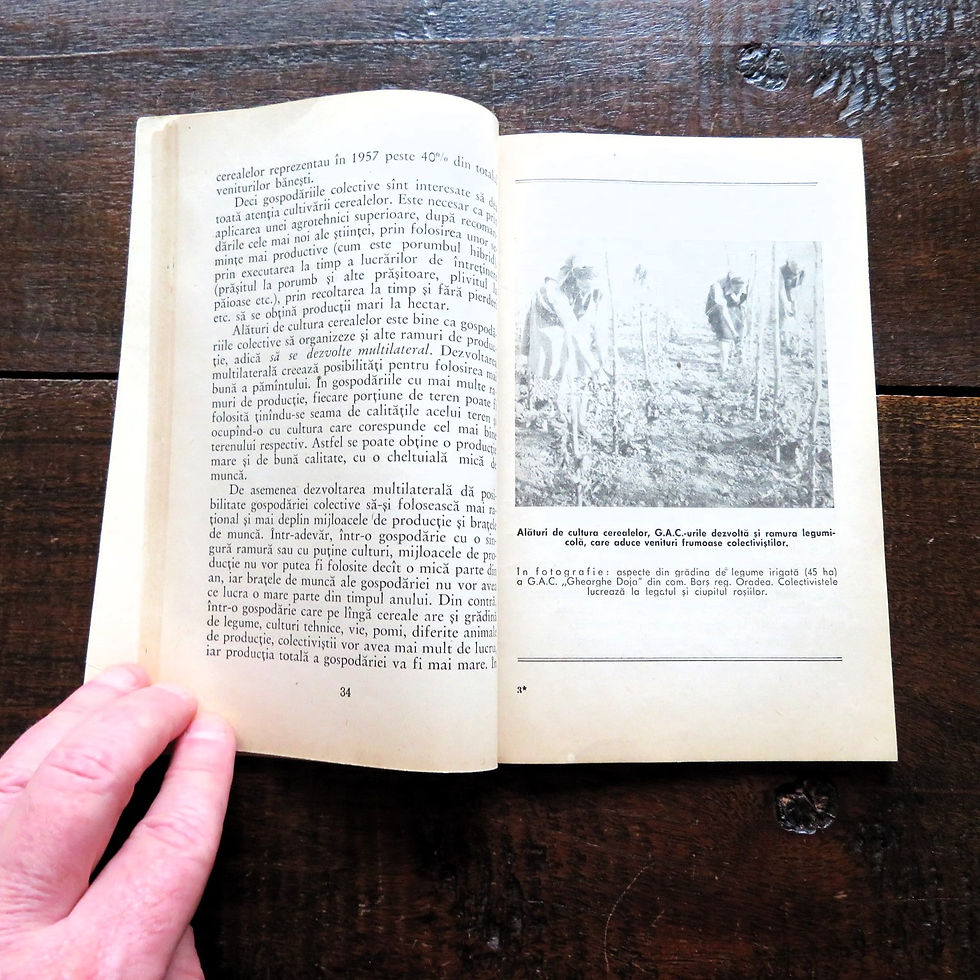 Thumbnail: Book Romania Public Wealth 1958