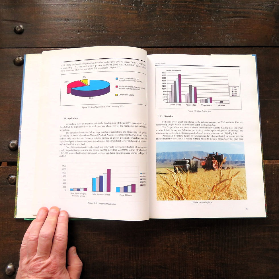 Thumbnail: Book Turkmenistan Country Study On The Status Of Biodiversity 2002