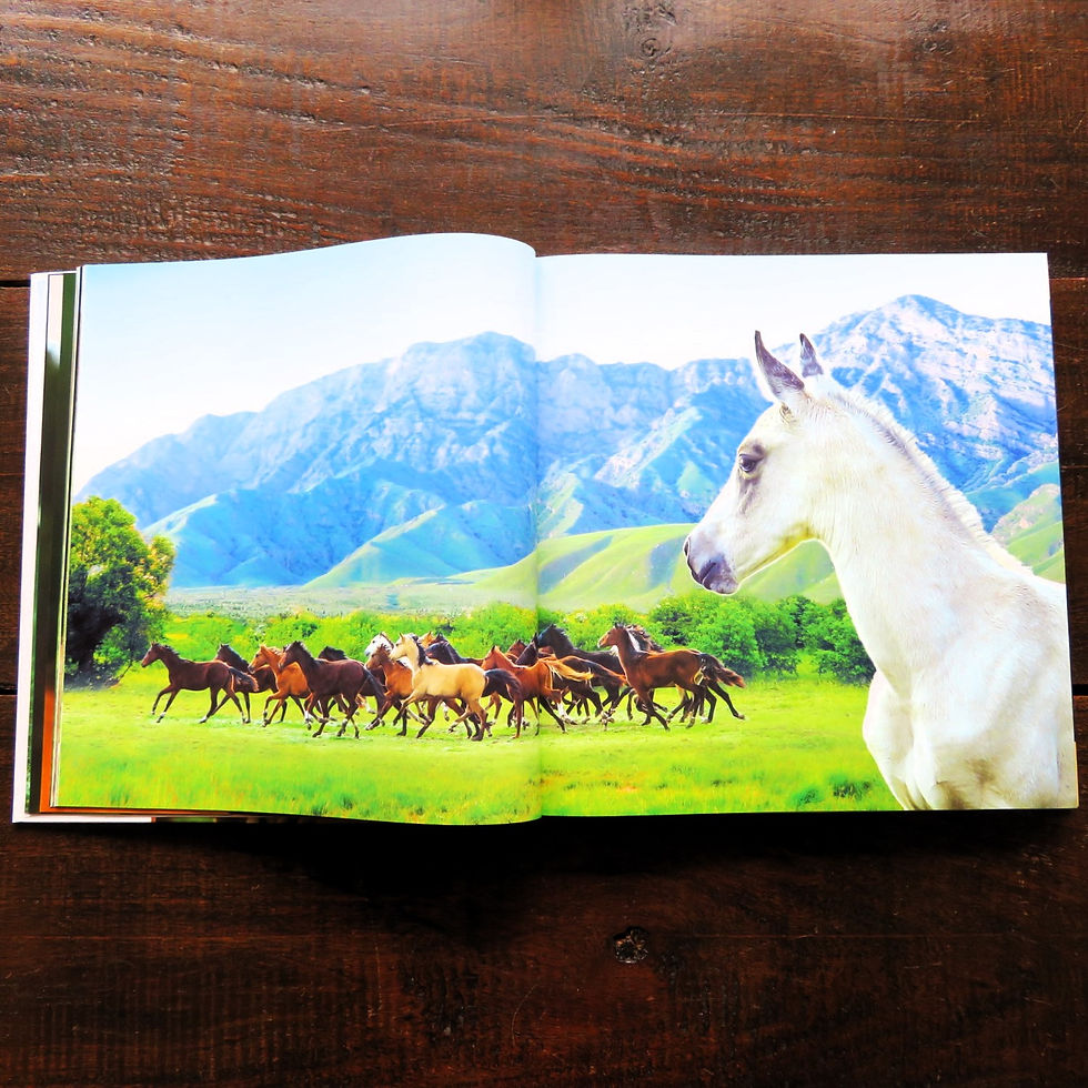 Thumbnail: Book Turkmenistan The Horse A Symbol Of Loyalty And Pleasure 2019