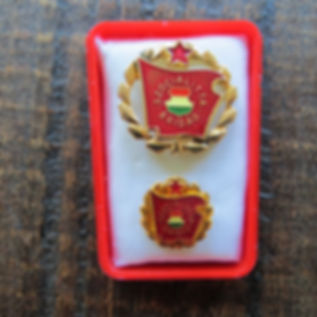 Pin Hungary Socialist Workers Brigade Pin Gold Edition