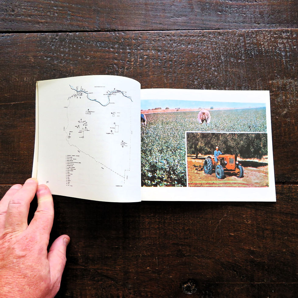 Thumbnail: Book Libya The Libyan Arab Republic 1975