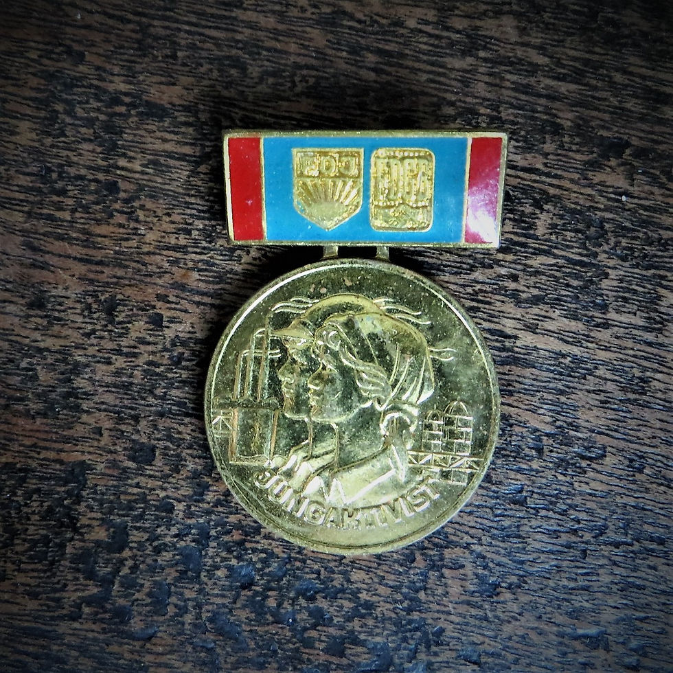 Thumbnail: Medal DDR Young Activist Medal