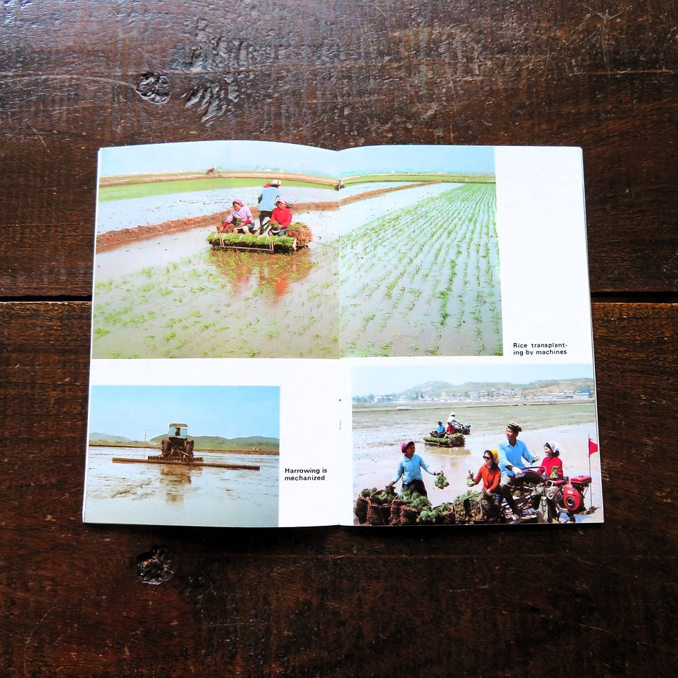 Thumbnail: Book Korea Pictures Chongsan Ri 1982