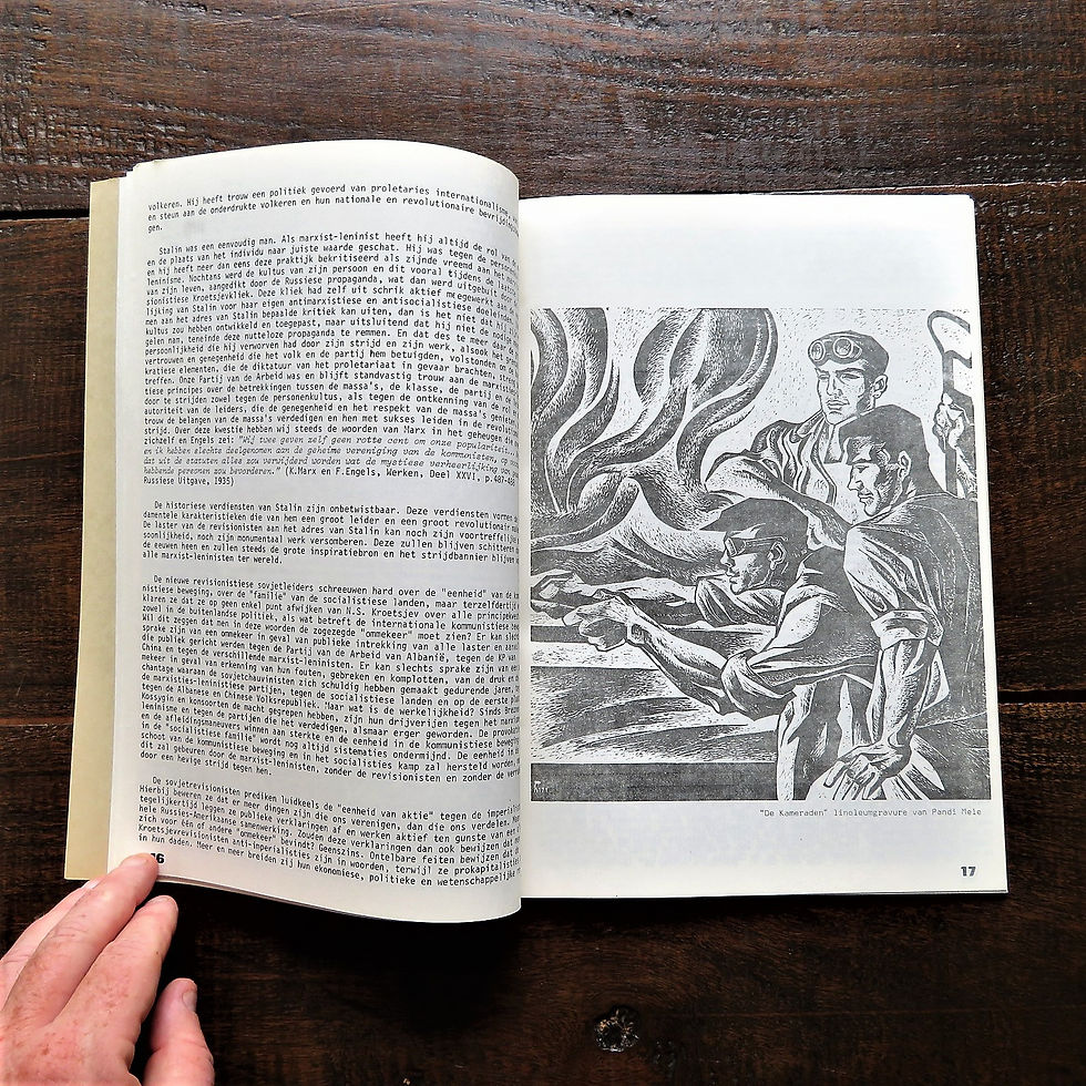 Thumbnail: Book Netherlands De Strijd Tegen Het Moderne Revisionisme 1974