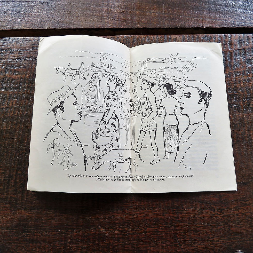 Thumbnail: Book Netherlands Suriname