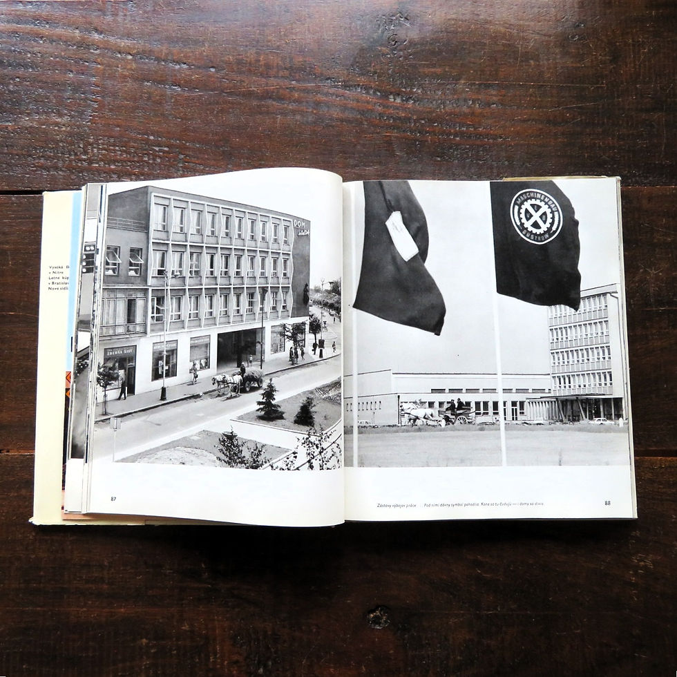 Thumbnail: Book Czechoslovakia The New Shape Of Slovakia 1968