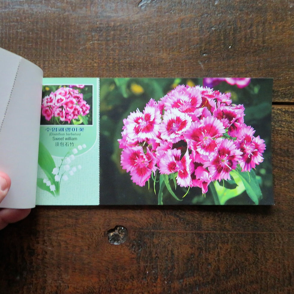 Thumbnail: Set Of 10 Postcards With Flowers