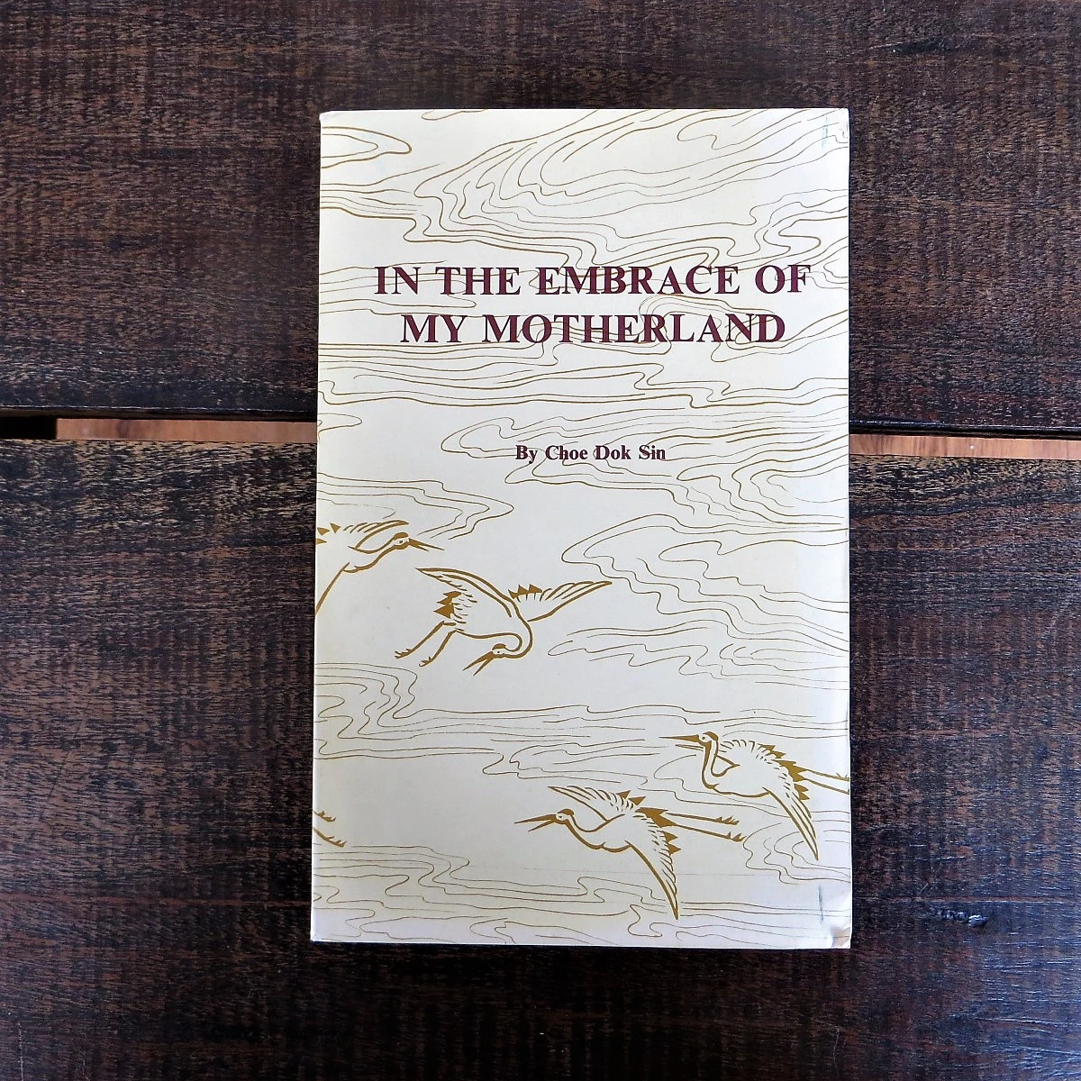 In The Embrace Of My Motherland 1990