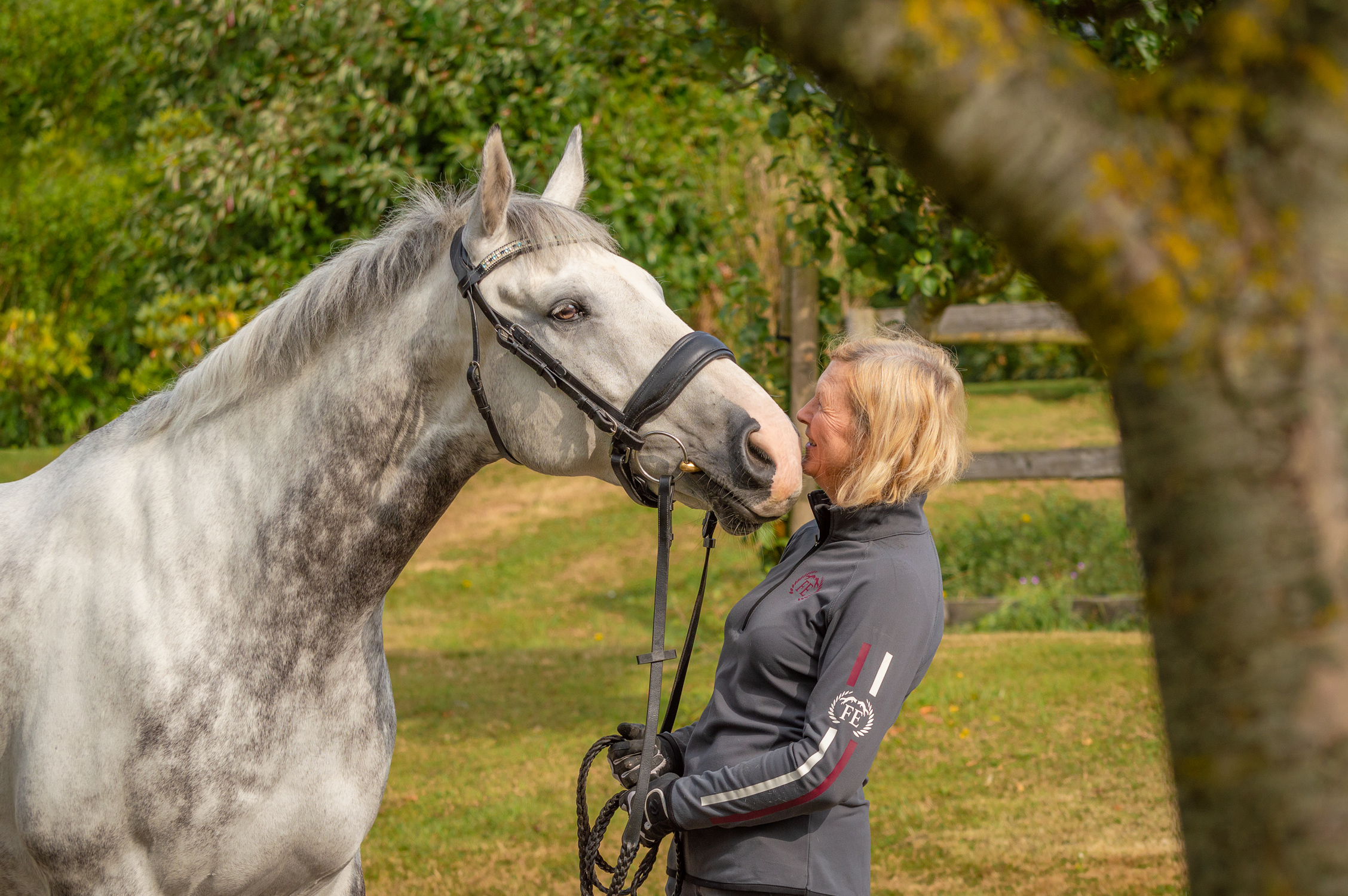 equine_photography_horse_portrait_maddie-leishman-photography_05.jpg