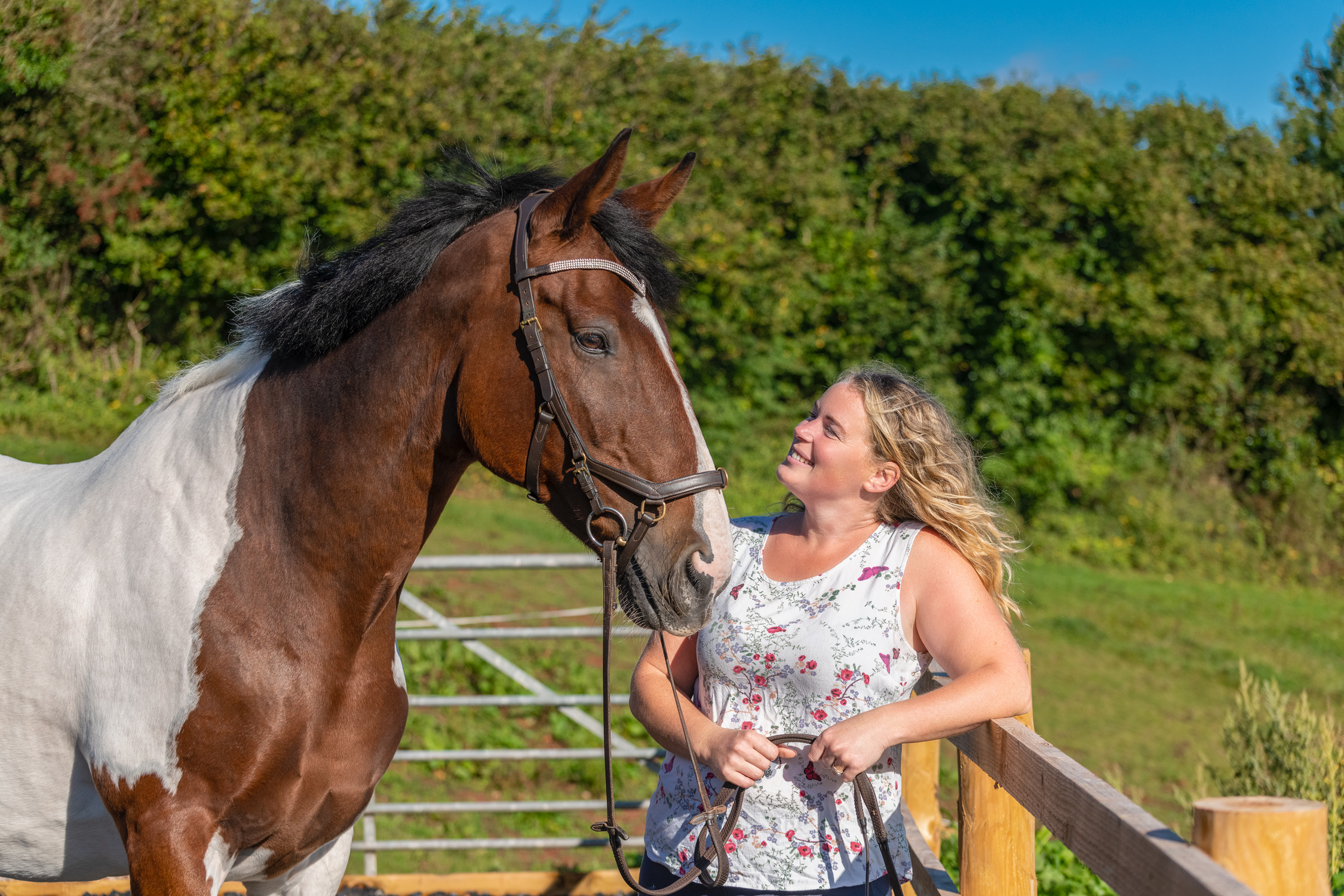 equine_photography_horse_portrait_maddie-leishman-photography_06.jpg