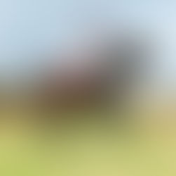 Equine Event Season: Capturing Memories with a Pro Photographer