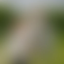 Fun in the Field with Star and Lorraine