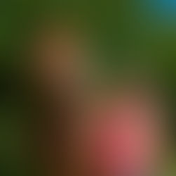 Equine Photoshoot with Abbie & Co.