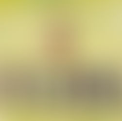 Dog jumping a wooden fence to reach a green ball flying mid-air