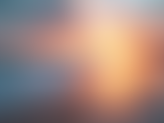 Top 5 Essential Florida Estate Planning Questions Answered