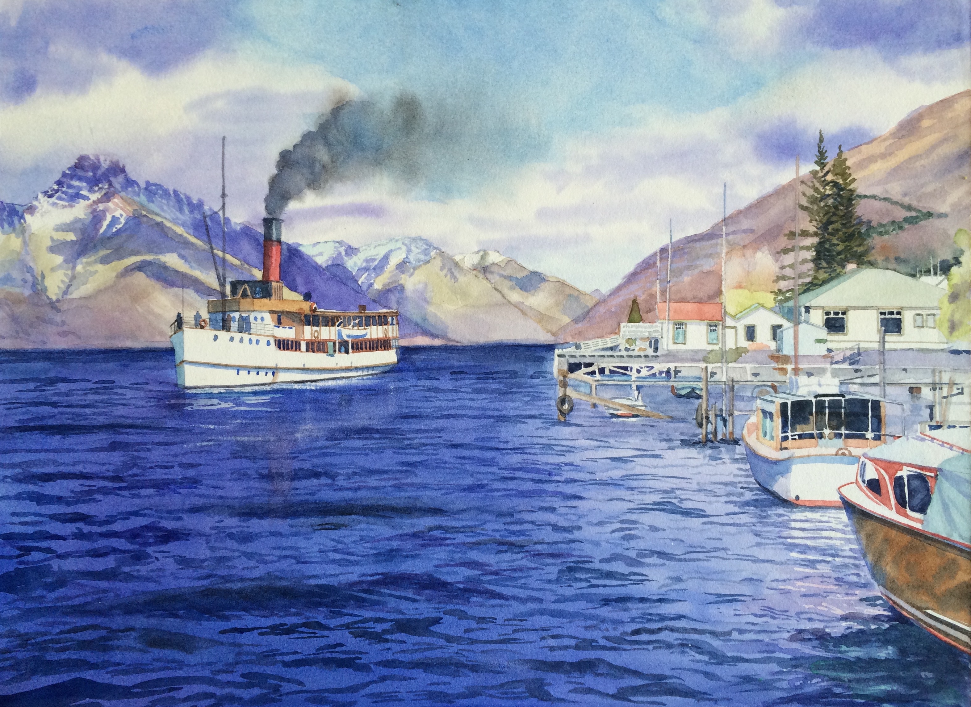 New Zealand Steamer