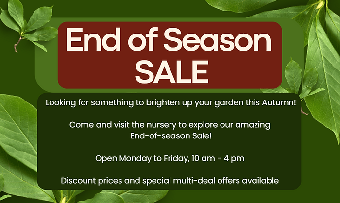 End of season sale 2025.png
