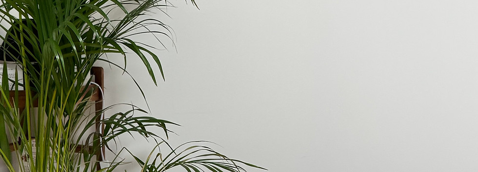 Hélène MONNOURY - Dien Chan Tours