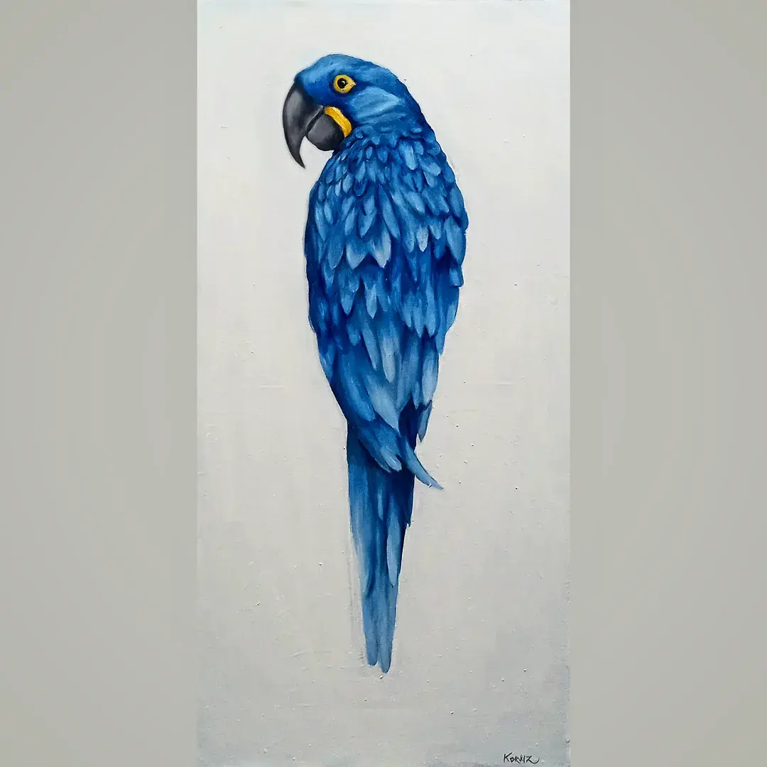Arara azul
