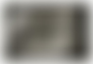 Trunk Call – Elephant conservation is needed much closer home than you think