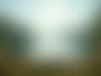 Transform Your Mind: Monthly Beginner's Mind Retreat