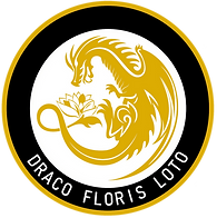 parche draco pagina web_edited.png