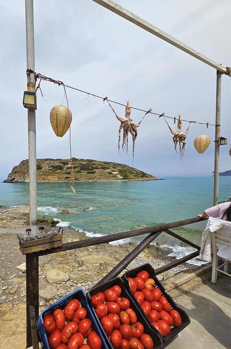 Dagens fångst i byn Myrtos (Ierapetra).