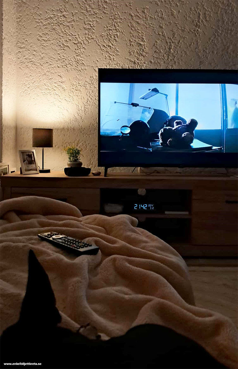 Första natten i vårt nya hem - Vilma myser i sin "vinterfilt" framför TV:n