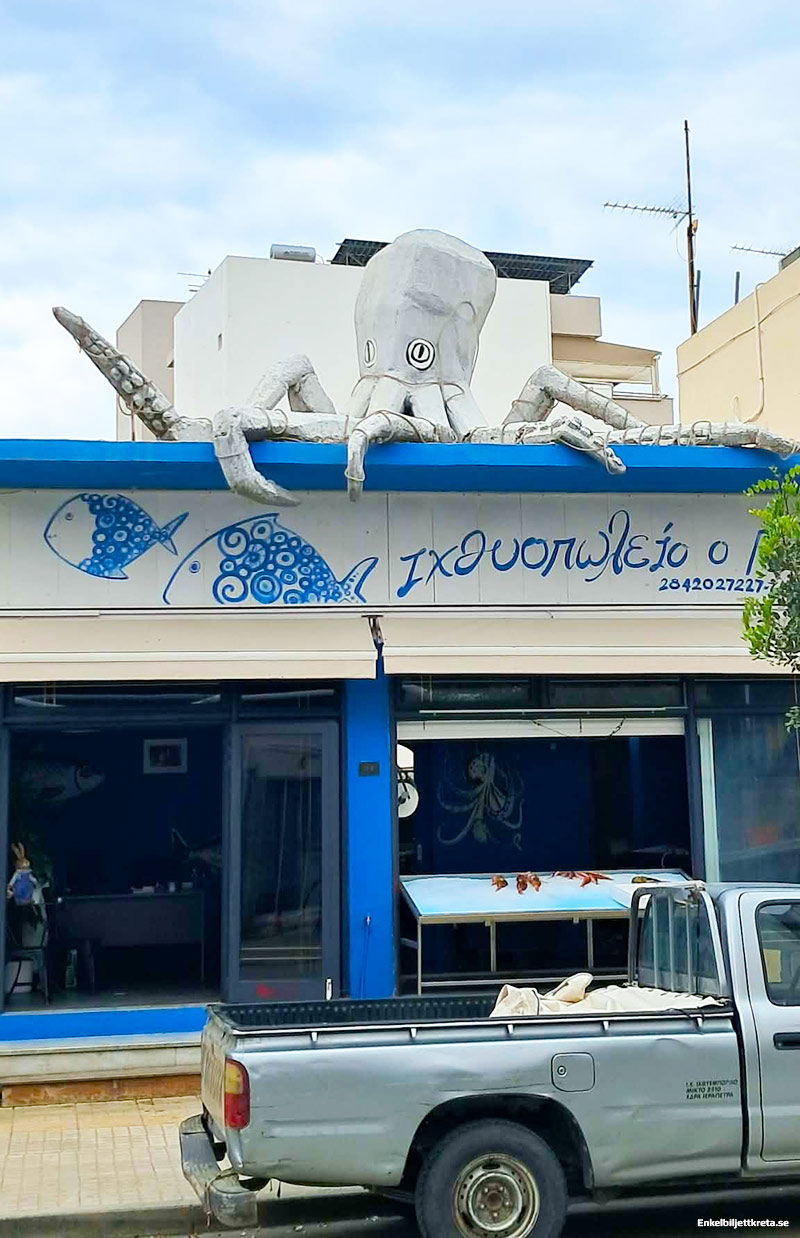 Färsk Fisk, Skaldjur och Specialiteten - Bläckfisk!