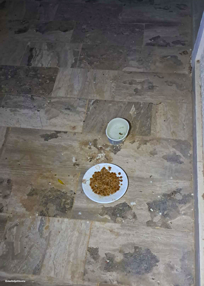 En av tre(3) vatten och matplatser jag försöker hålla påfyllda...
