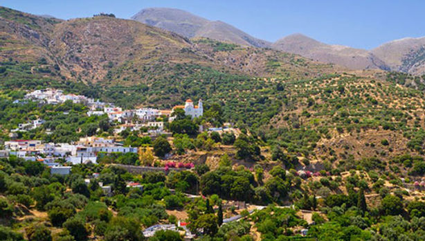 Dafni (Δάφνη)