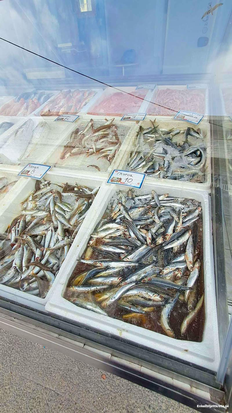 Sardiner - Basen till en lyckad Pasta con Le Sarde.