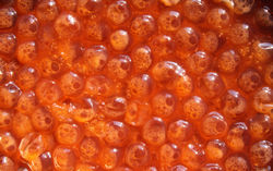 Eggs_057325