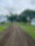 IMG_9795.jpeg