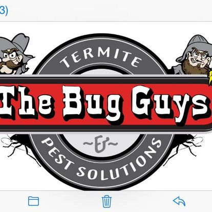 The Bug  Guys