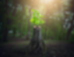 Working with Eco-Anxiety