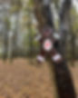 403765400_18282976216155060_3097340505464437866_n-2.jpg