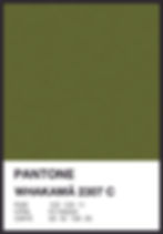 Thumbnail: Whakamā - Limited edition, Unframed A2 art print.