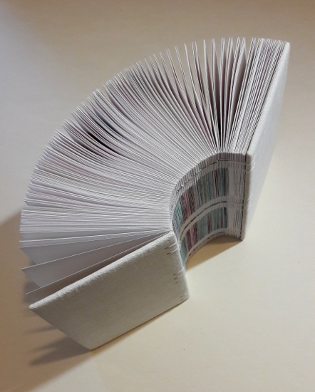 Coeur cousu. Livre objet Amélie Doussot
