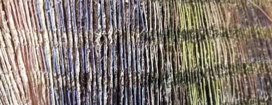 sitegarden pantone10.jpg