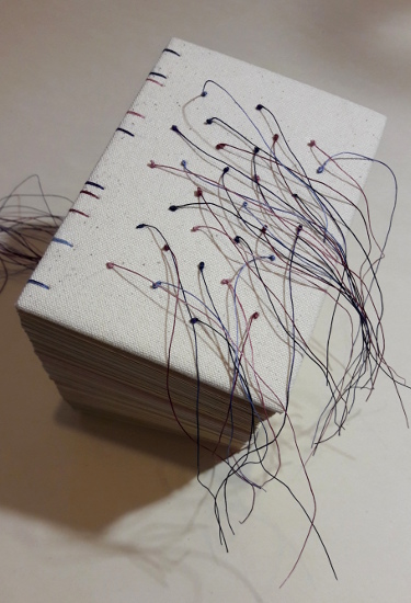 peau de cellulose, livre objet Amélie Doussot