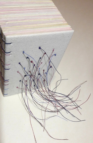 peau de cellulose, livre objet Amélie Doussot