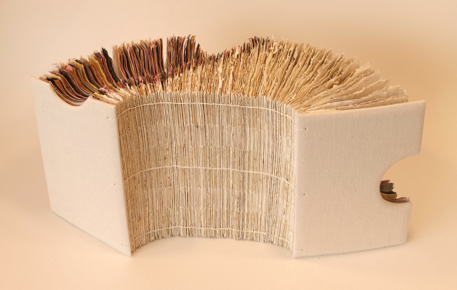 Balade sauvage. Livre objet d'Amélie Doussot