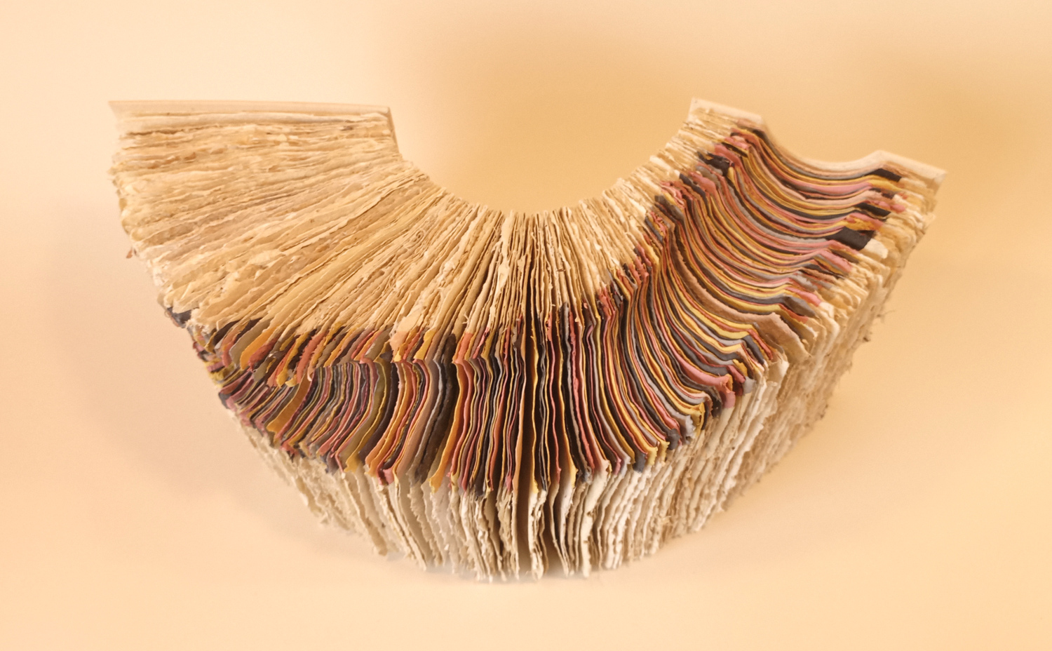 Balade sauvage. Livre objet d'Amélie Doussot