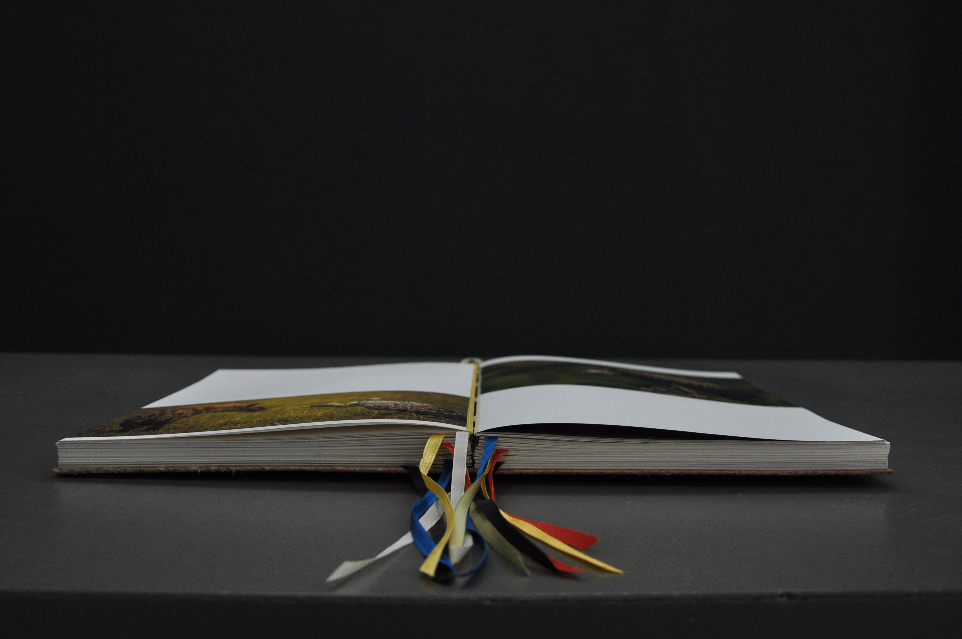 Reliure Amélie Doussot
Edition Blazers/blasons 1 &2 