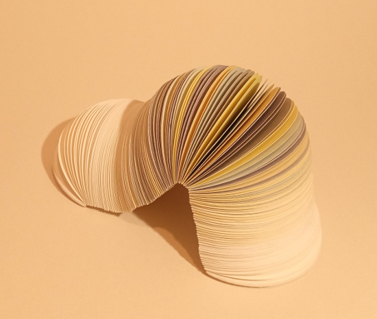 Flower ball, livre objet Amélie Doussot