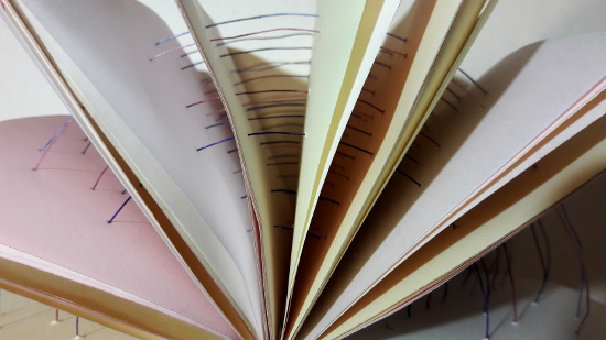 peau de cellulose, livre objet Amélie Doussot