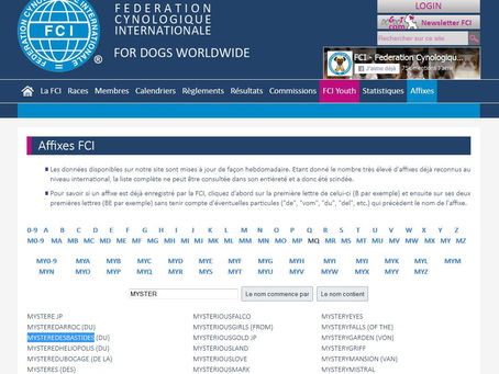 Le Mystère des Bastides est inscrit au registre de la FCI !!!