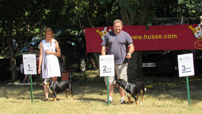 Une journée en exposition sous le soleil
