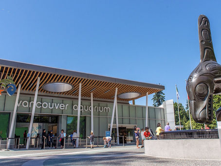 Downtown Vancouver Favourites: Vancouver Aquarium